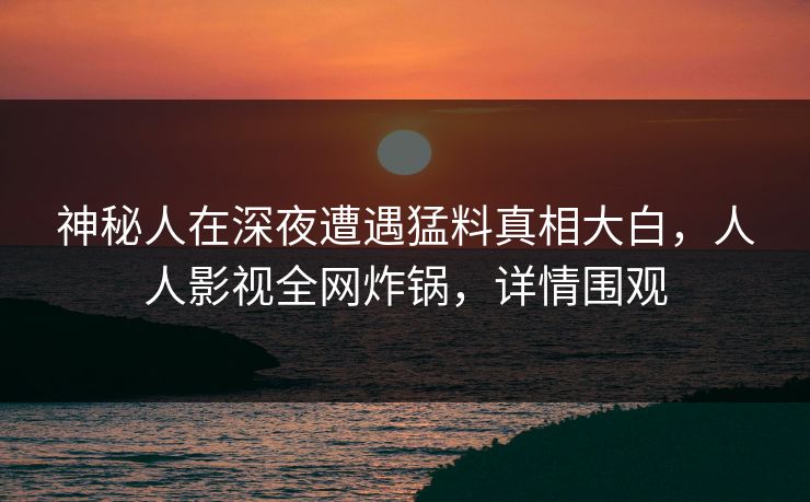 神秘人在深夜遭遇猛料真相大白，人人影视全网炸锅，详情围观
