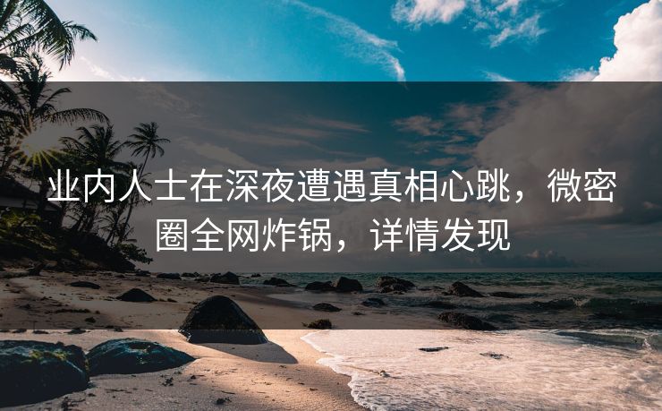 业内人士在深夜遭遇真相心跳，微密圈全网炸锅，详情发现